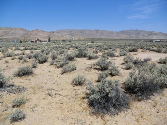 20 Beautiful Acres In Lucerne Valley San Bernardino County CA Aim 4